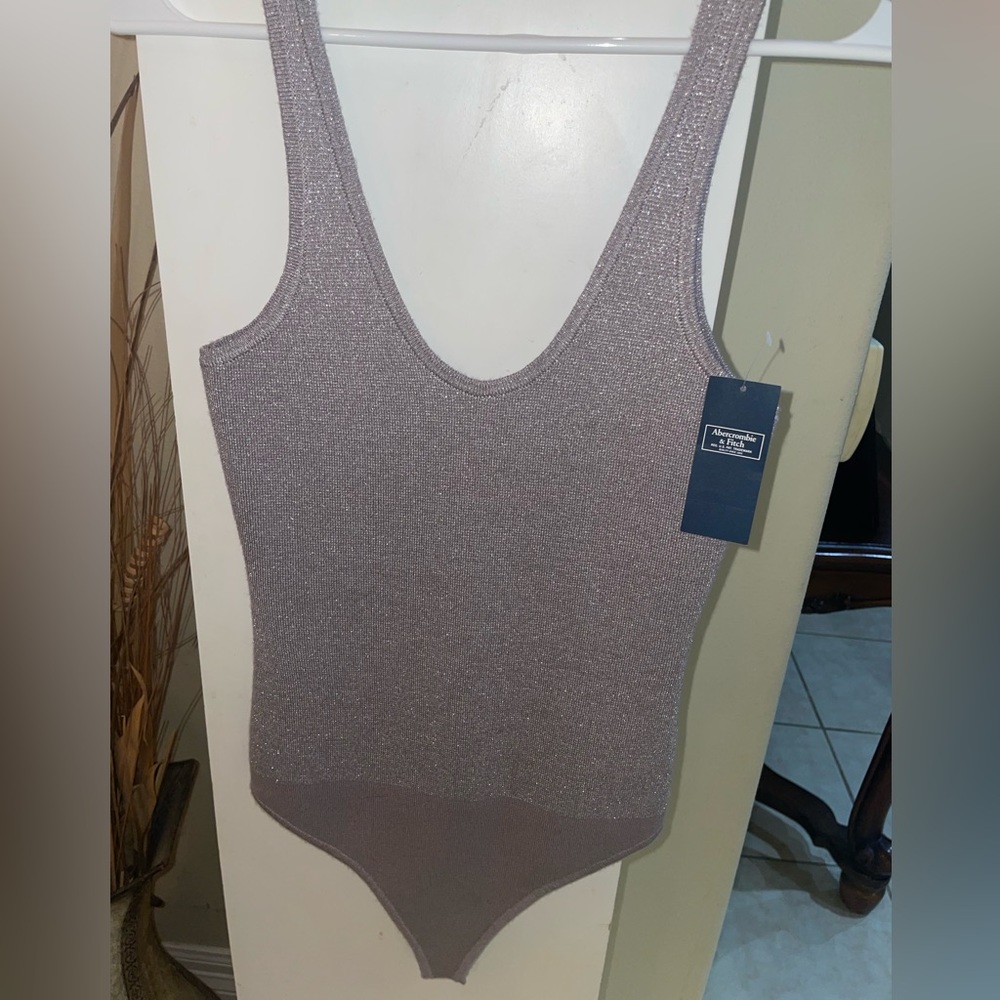 Gray Shimmery Abercrombie and Fitch Bodysuit